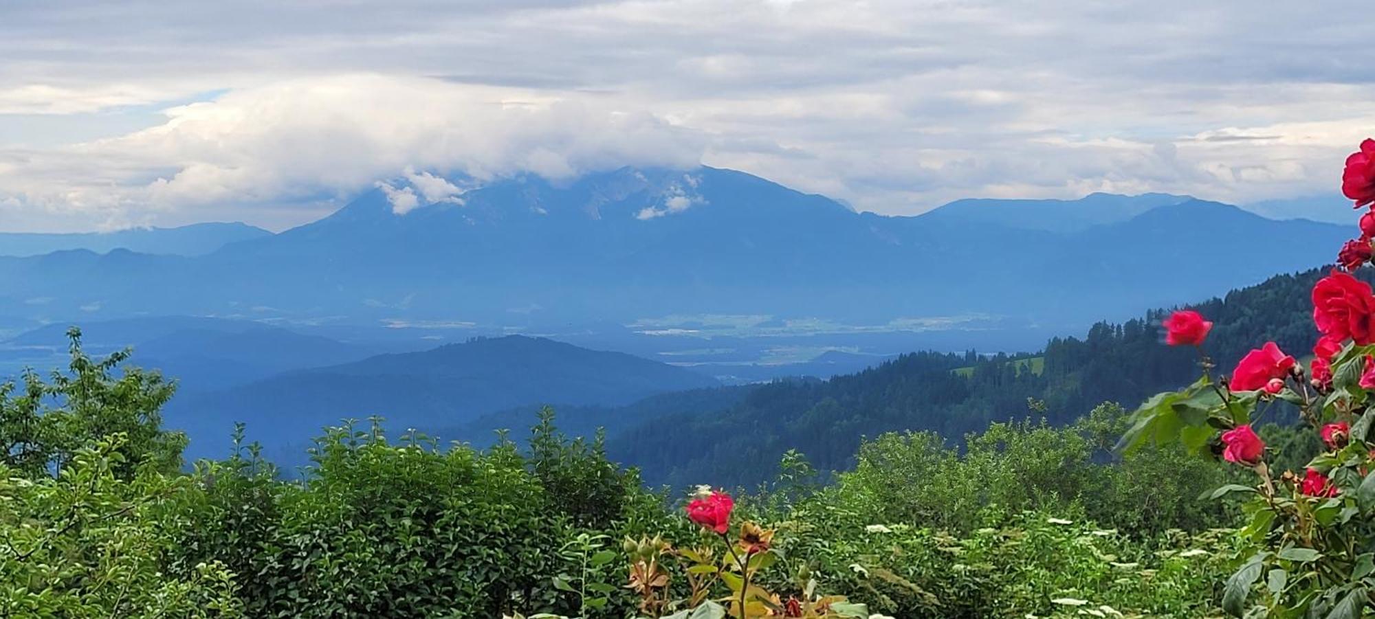 Gasthof Machwirth Griffen Kültér fotó