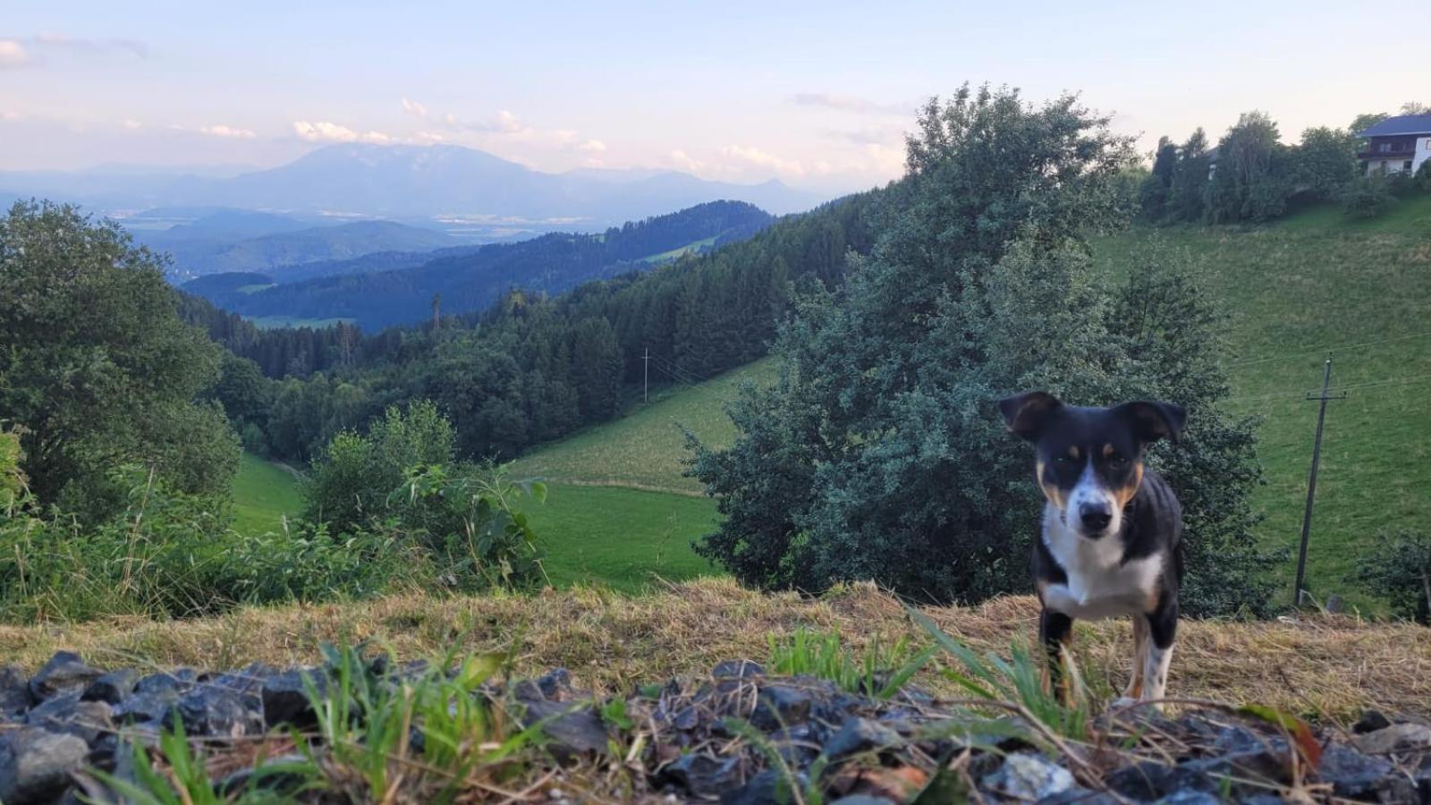 Gasthof Machwirth Griffen Kültér fotó